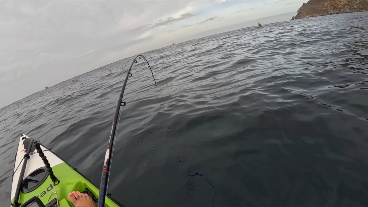 Kayak Fishing for Yellowtail at Rooikrans, Cape Point