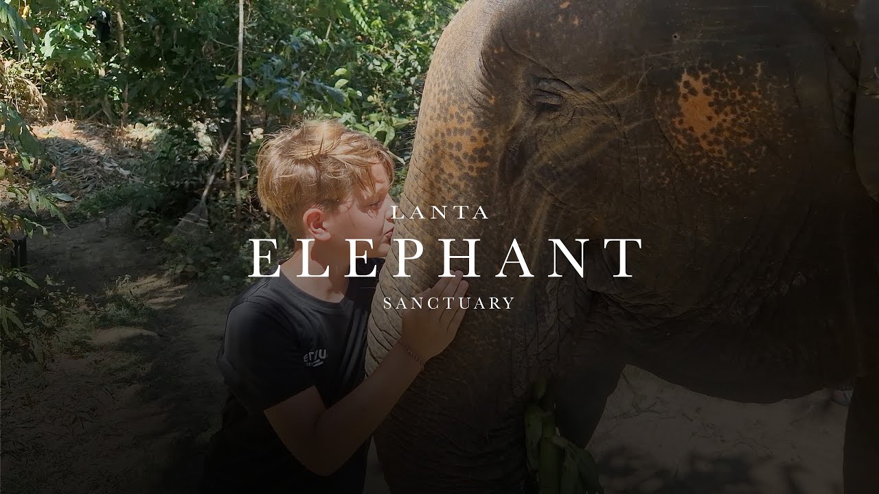 4K Lanta Elephant Sanctuary - Koh Lanta