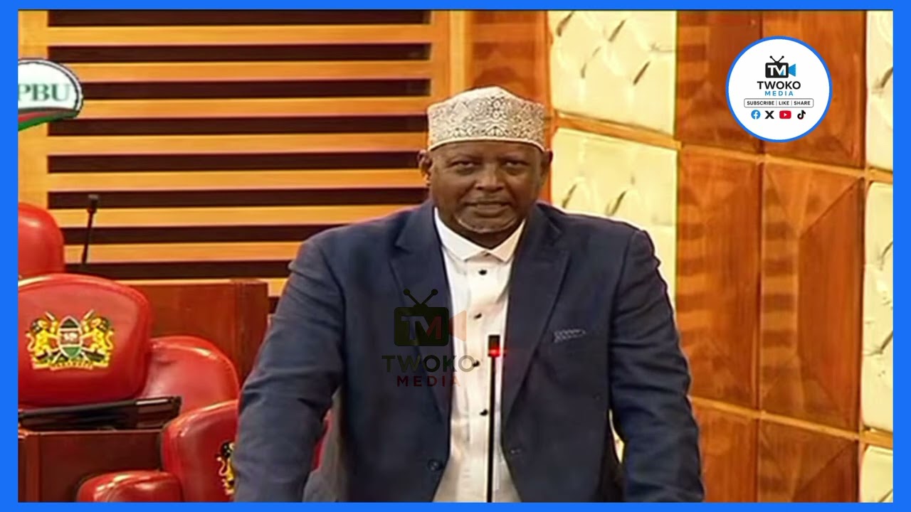 Saku MP DIIDO RASSO ADVOCATES FOR TIKTOK REGULATION