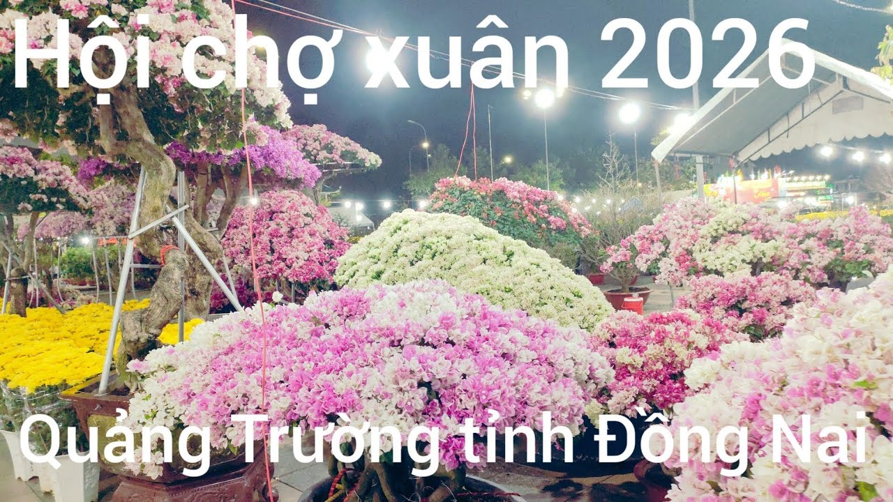 Hội chợ xuân Bính Ngọ 2026 tại Quảng trường tỉnh Đong nai từng bừng khó khi đón xuân tet