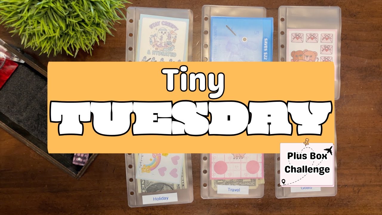 Tiny Tuesday! | Save $20 | Box Challenge | January | Savings Challenges | Savings Goals
