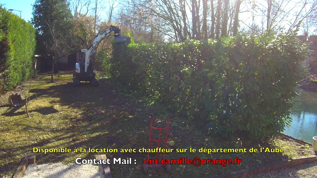 Taille Haie Laurier | Mini Pelle | Location | Aube | Troyes