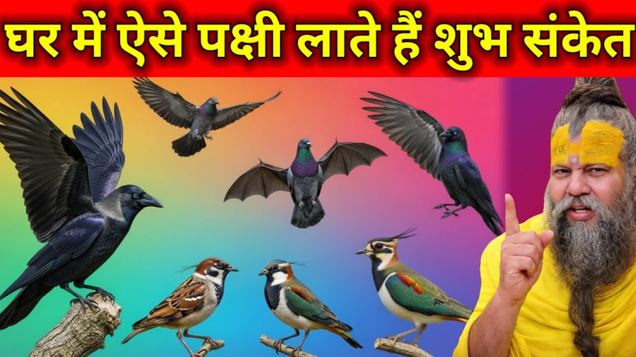ऐसे पक्षी घर लाते है शुभ संकेत। पक्षी पालने वाले जरूर देखें #premanandjimaharaj #upay