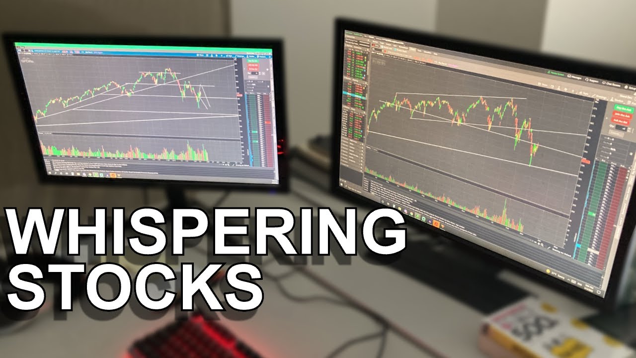 Relaxing Stock Market Whispering Updates Charts
