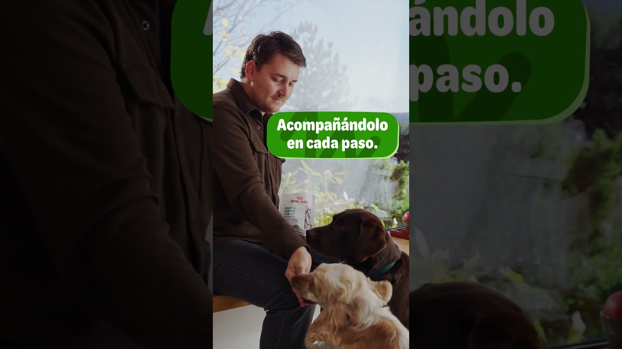 Royal Canin Joint & Ageing Adult Supplement – Manténlos en movimiento