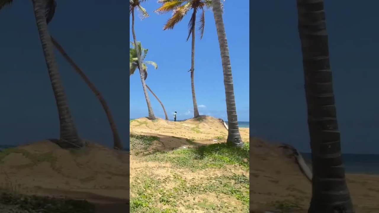 Punta Cana Dominican Republic Private Beach 2022