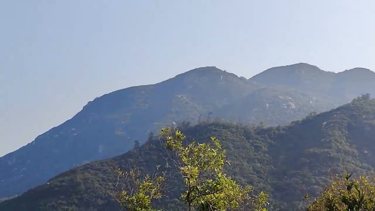 VID20260115155556
