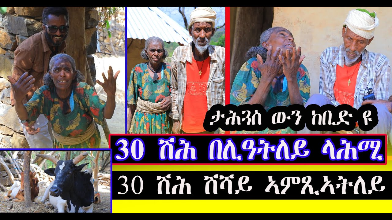 #መጠን #ታሕጓሱ ከቢድ ዩ 30 ሽሕ በሊዓትለይ ላሕሚ 30 ሽህ ሺሻይ ኣምጺኣትለይ ላሕመይ