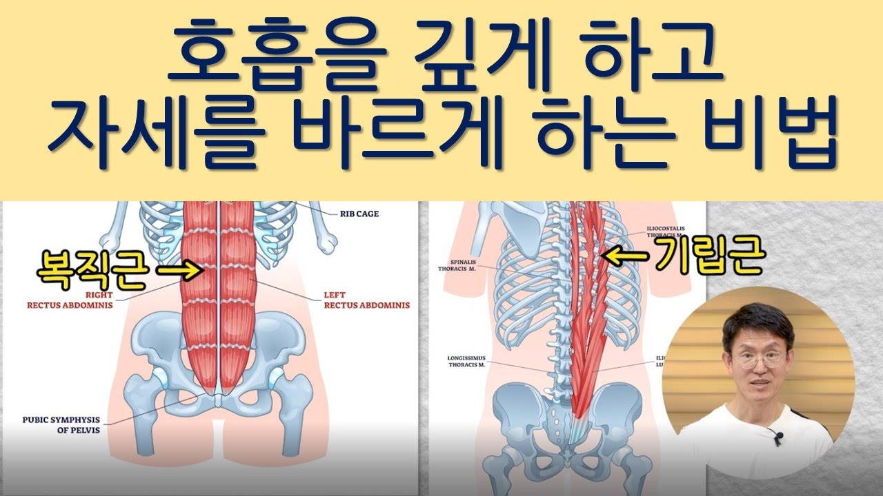 호흡을 깊게, 자세를 바르게 하는 복직근 기립근 이완훈련법