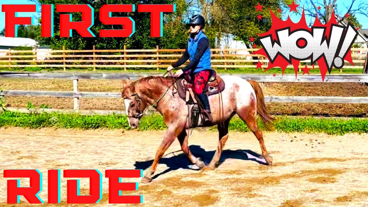 RIDING MY AUCTION PONY FOR THE FIRST TIME|Weselton|Appaloosa Auction