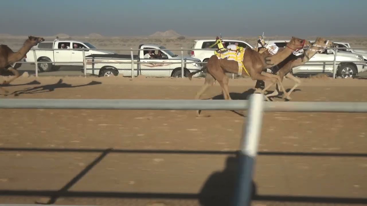 الكنج - سليم بن علي الجنيبي - 53 : 40 : 1