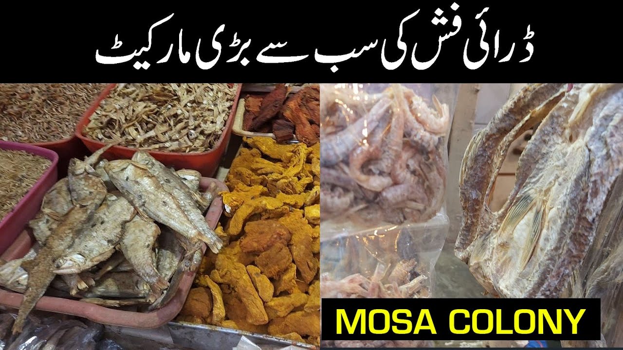 Dry Fish Ki Sab Se Bari Market | Sokhi Machli Moosa Colony Karachi
