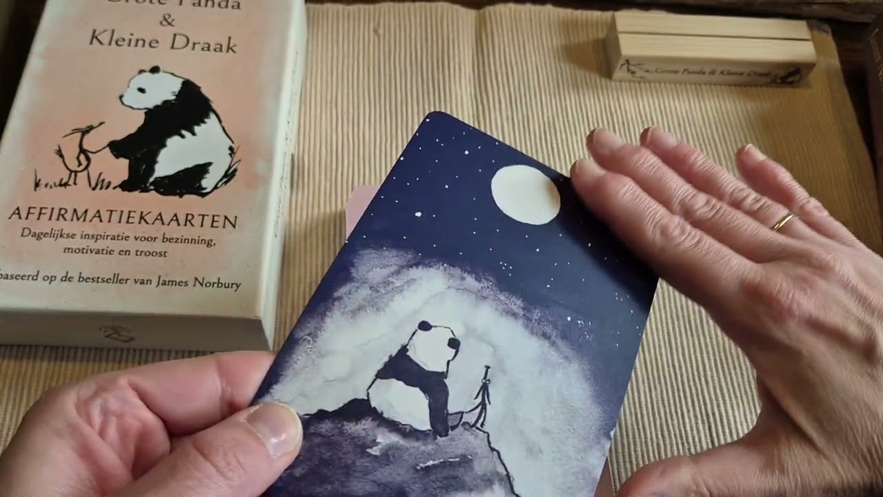 Grote Panda & Kleine Draak ✨️unboxing✨️