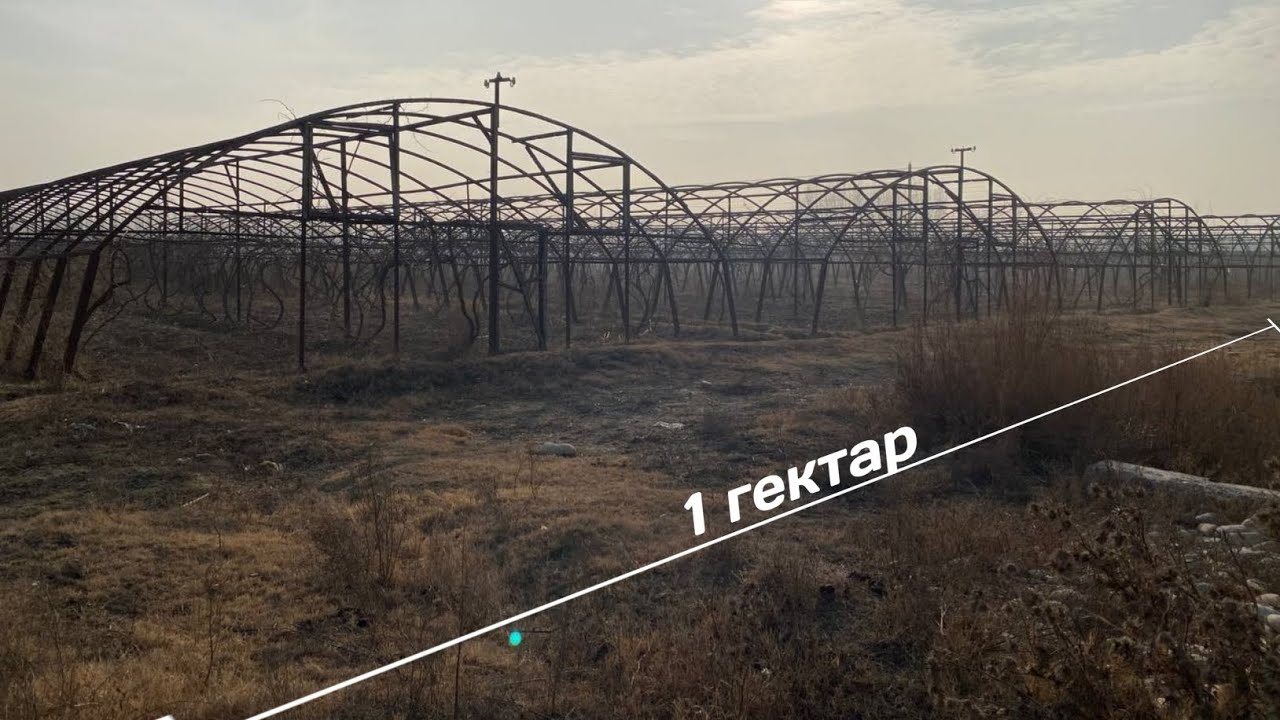 Mingbuloq Gigantda Parnik sotiladi 48,000 $ narxi  Batafsil ma'lumotlar videoda Namangan uylari uy