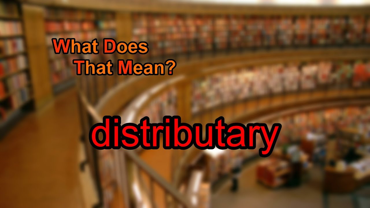 What does distributary mean?