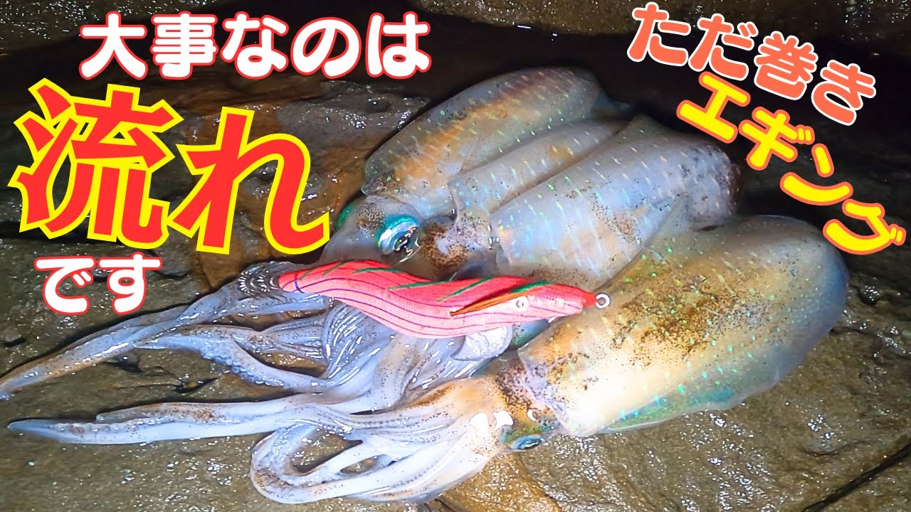 エギング編：上りでもいい！下りでもいい！流れがあればいいのです！！