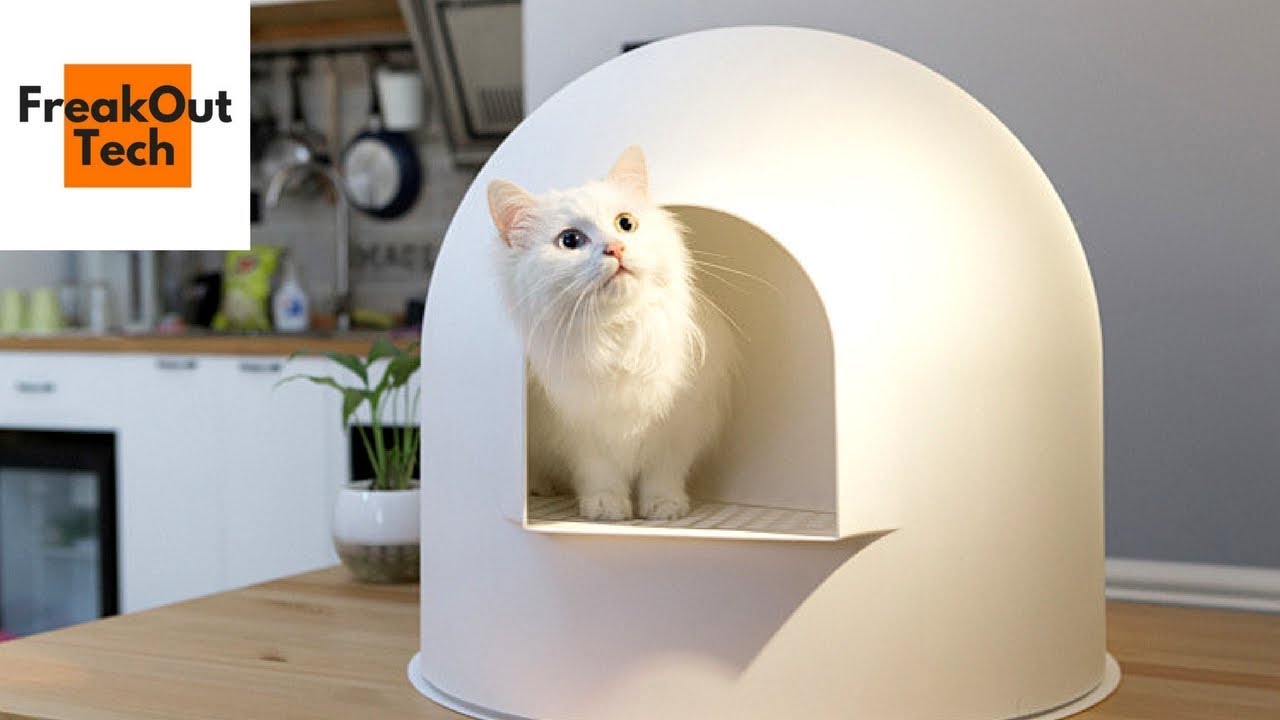 5 Incredible Inventions For Your Cat #1 ✔