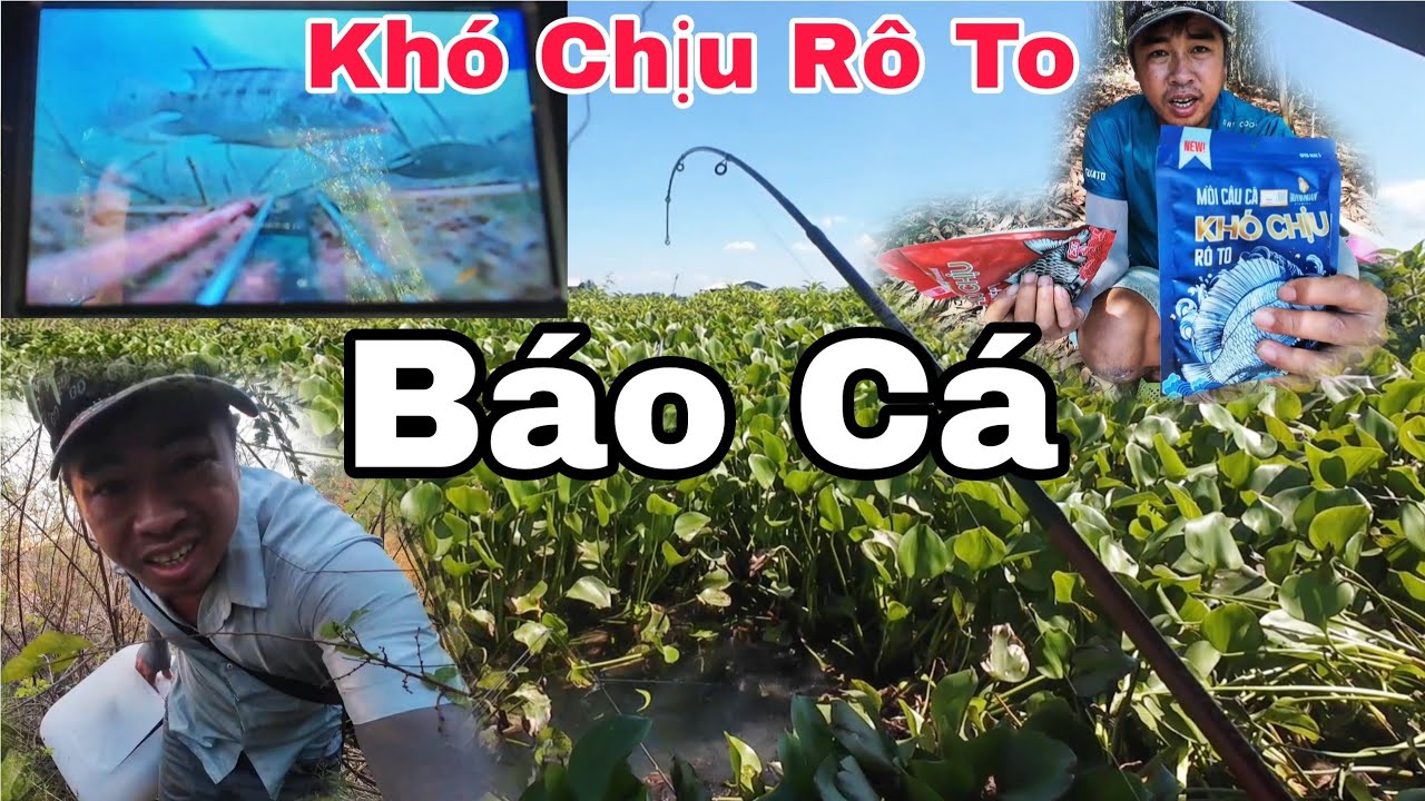 Nai Chơi Đa Năng Một Bữa Đi Hết Mình Về Hết Hồn hải vlog