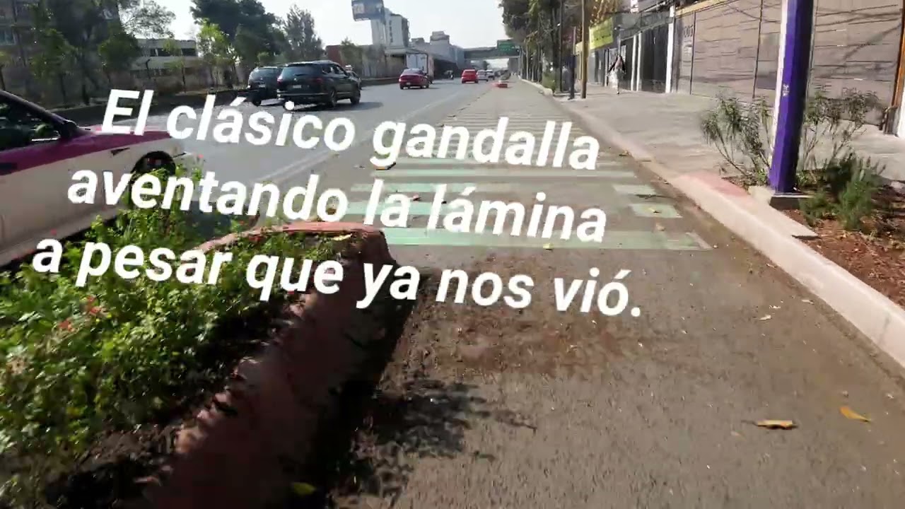 Ciclovía Tlalpan 14 de Marzo 2026 | El Extintor de carriles, el apaga-vías, el hidrante con ruedas 😆