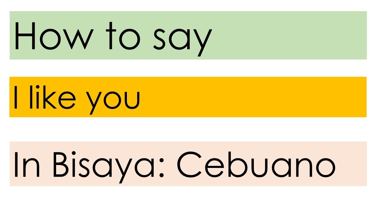 How to say I like you [English - Bisaya]