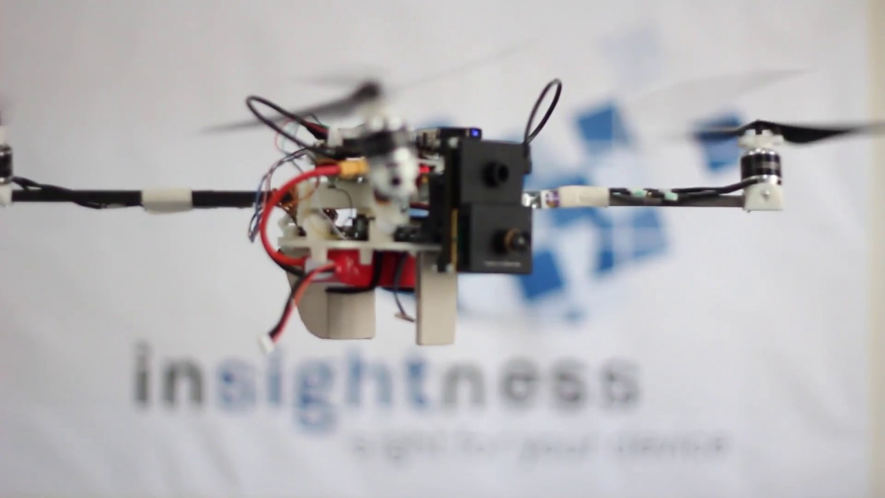 Insightness Collision Avoidance for Drones