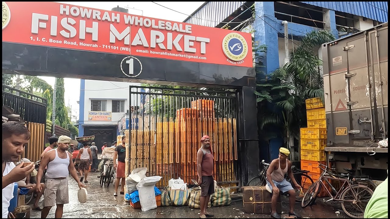 Kolkata (India) - Howrah Wholesale Fish Market tour. #howrah  #fishmarket #kolkata #wetmarkets 