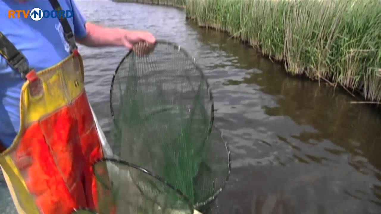 Palingvisser looft beloning uit voor tip over gestolen fuiken - RTV Noord