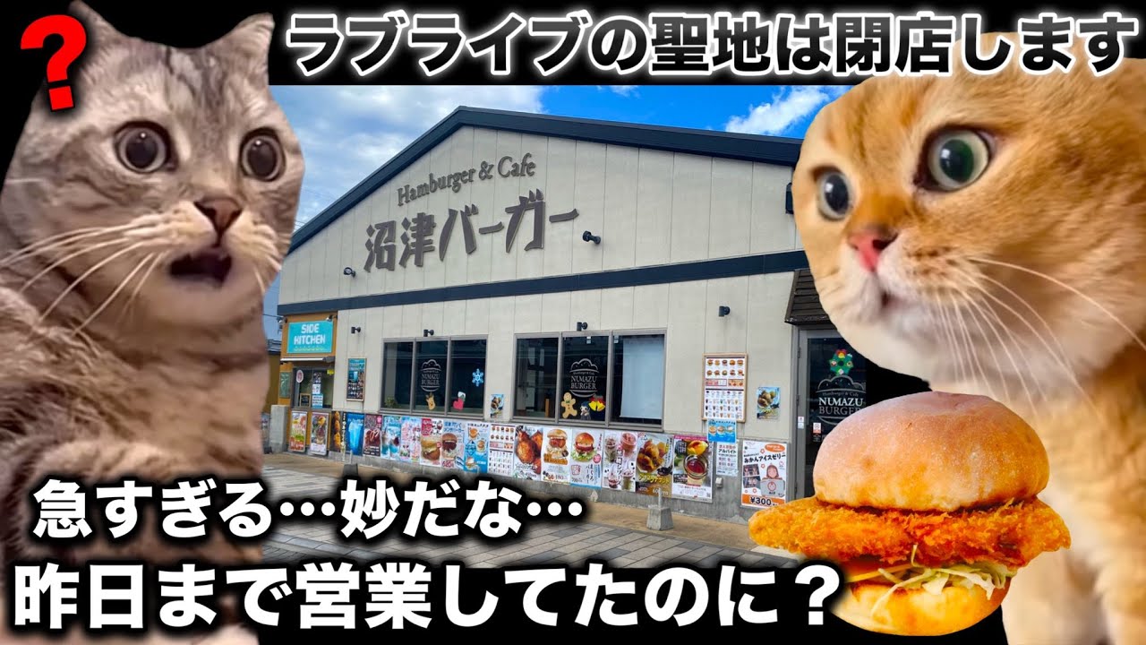 ラブライブの聖地が急に閉店、前日まで普通に営業していたのに闇が深すぎるとオタクたちが怪しむ…【猫ミーム】 #猫マニ #猫ミーム