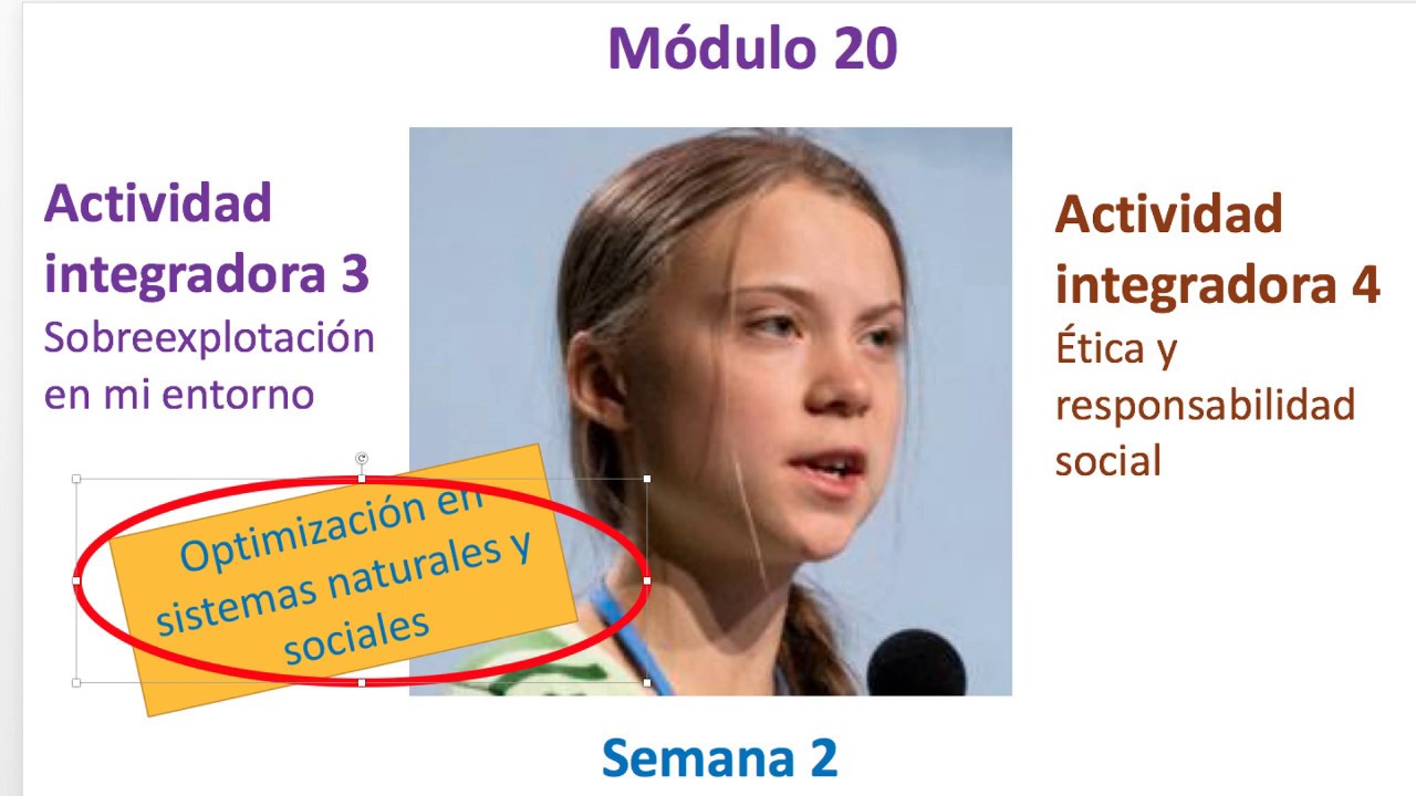 MÓDULO 20 🌳 Semana 2 ▶ Actividades integradoras 3 y 4 🐵 Prepa en Línea