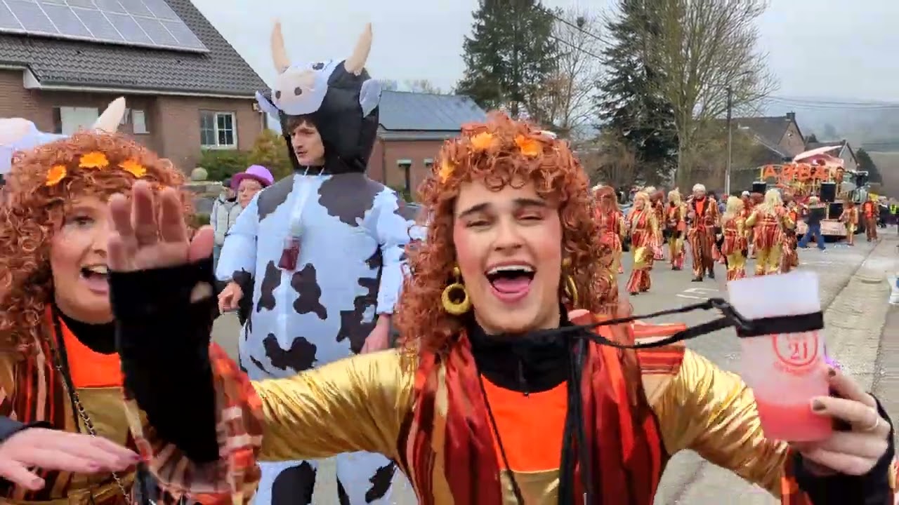 cortège carnaval 2025 de plombières 01 03 2025 movie