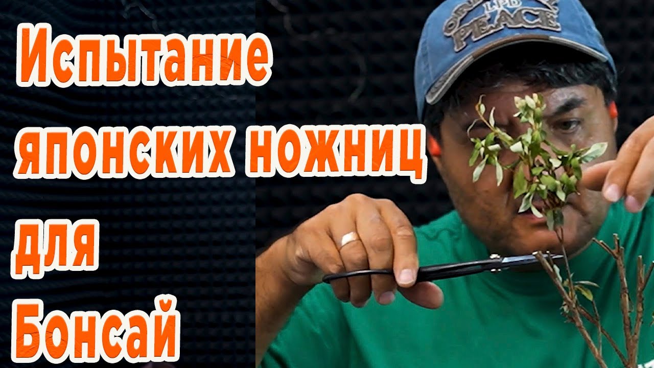 Испытание Японских ножниц для Бонсай.