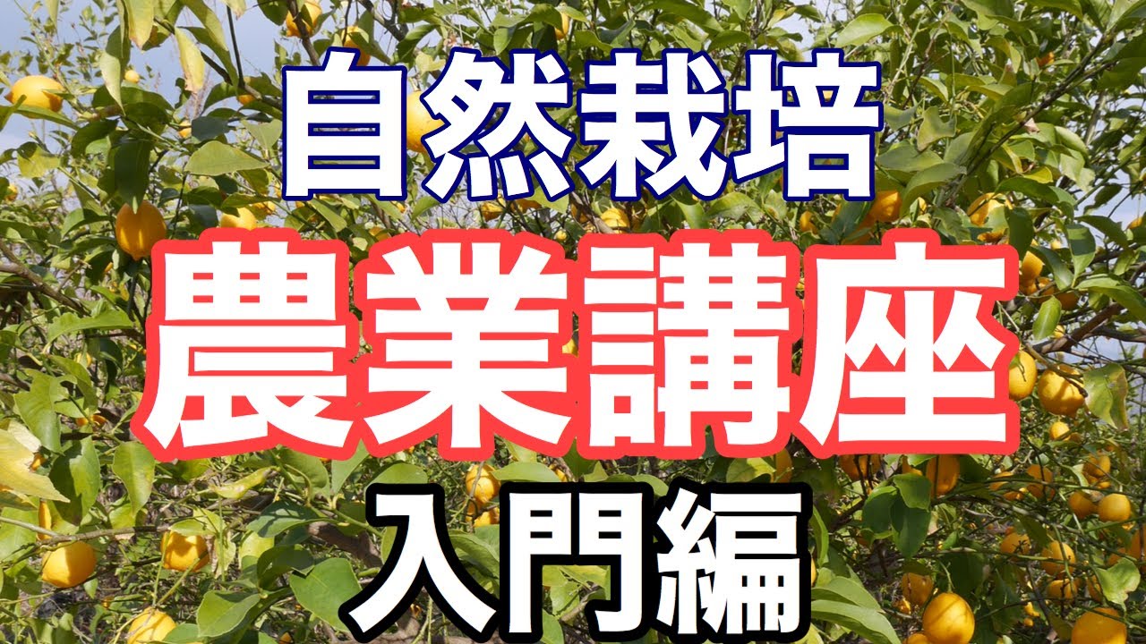 #001【美味しい果物を作るために何が必要？】道法正徳が教える自然栽培（無肥料・無農薬）農業講座入門編【Doho style labo】
