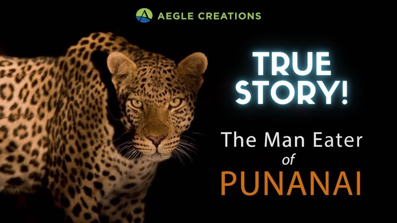 Man-Eating Leopard of Punanai | Sri Lanka