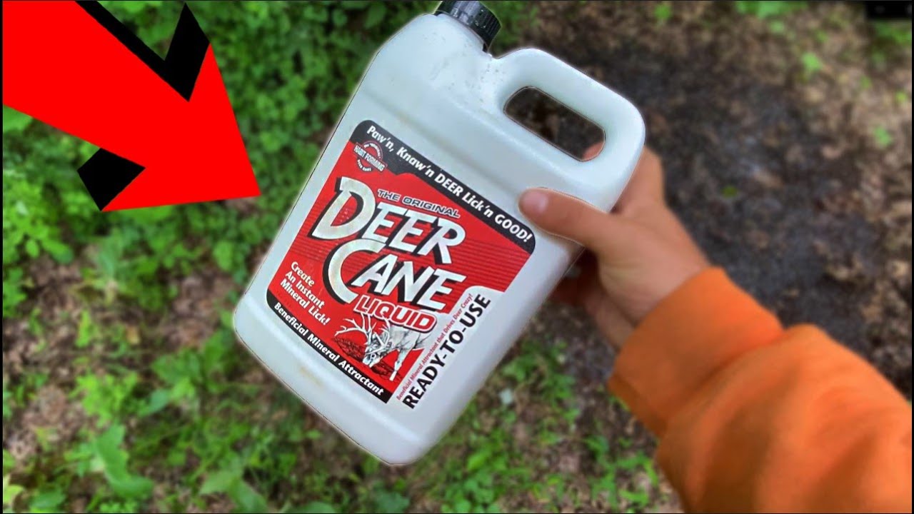 Тестирование DEER CANE LIQUID в течение целого месяца (управление оленями на небольшой площади)