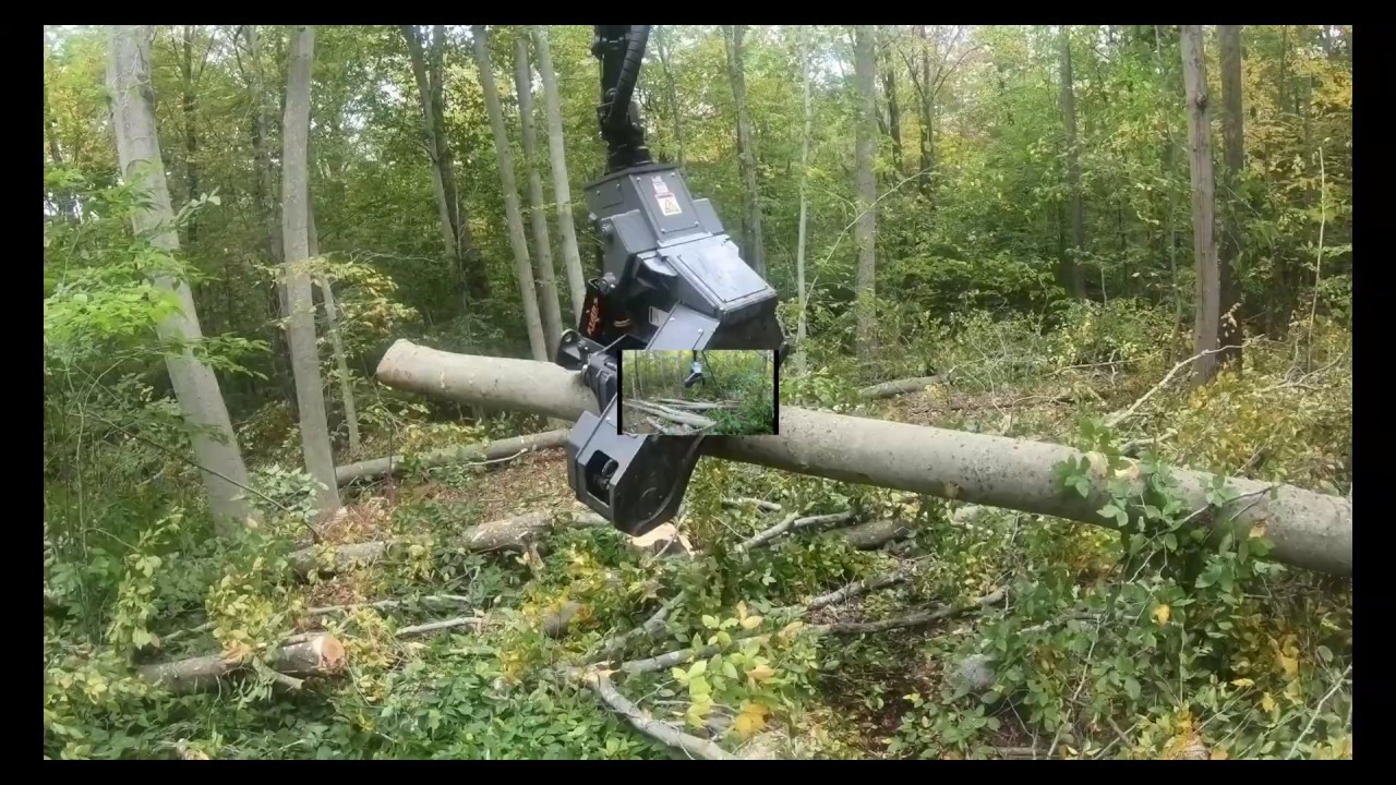 #4k POV - Magnet Mount #TimberPro #Combo Machine #Ds28c #teamtrees