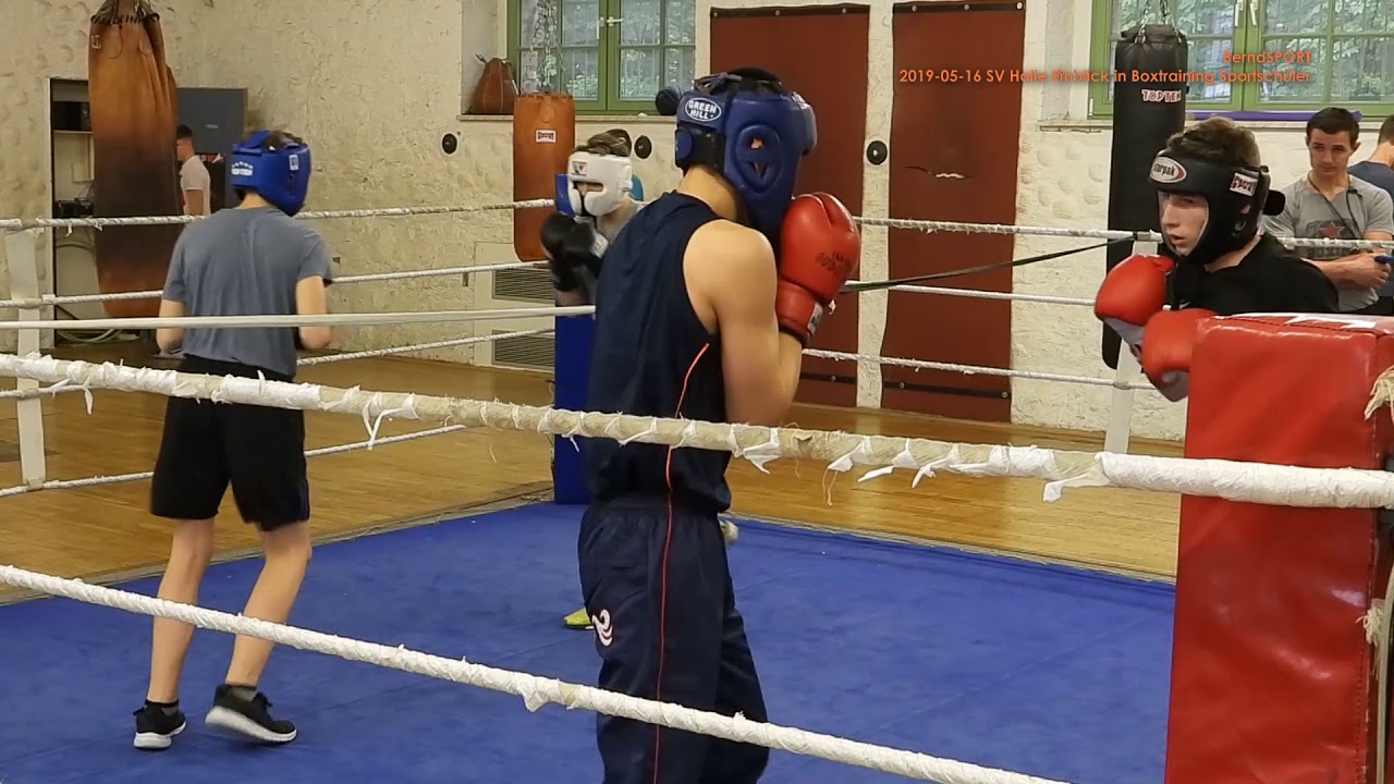 2019-05-26 SV Halle Einblick in Boxtraining