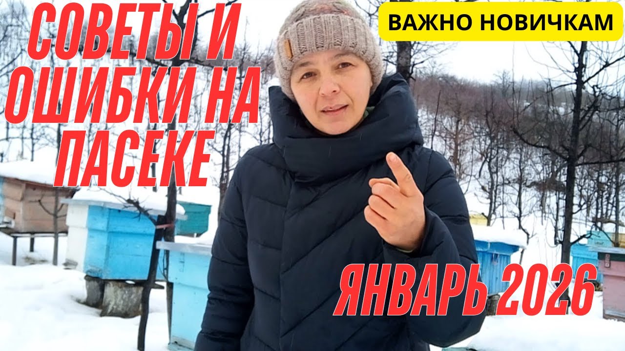Проверяю зимовку пчёл | ВАШИ СОВЕТЫ И МОИ ОШИБКИ НА ПАСЕКЕ — январь 2026