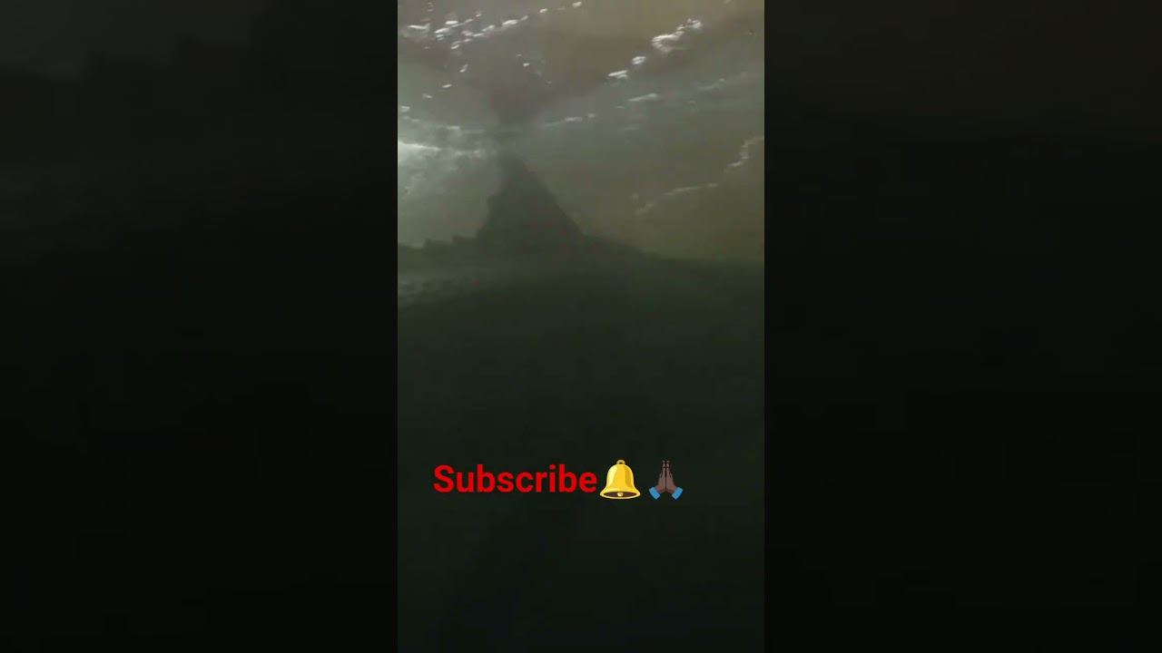 #shark