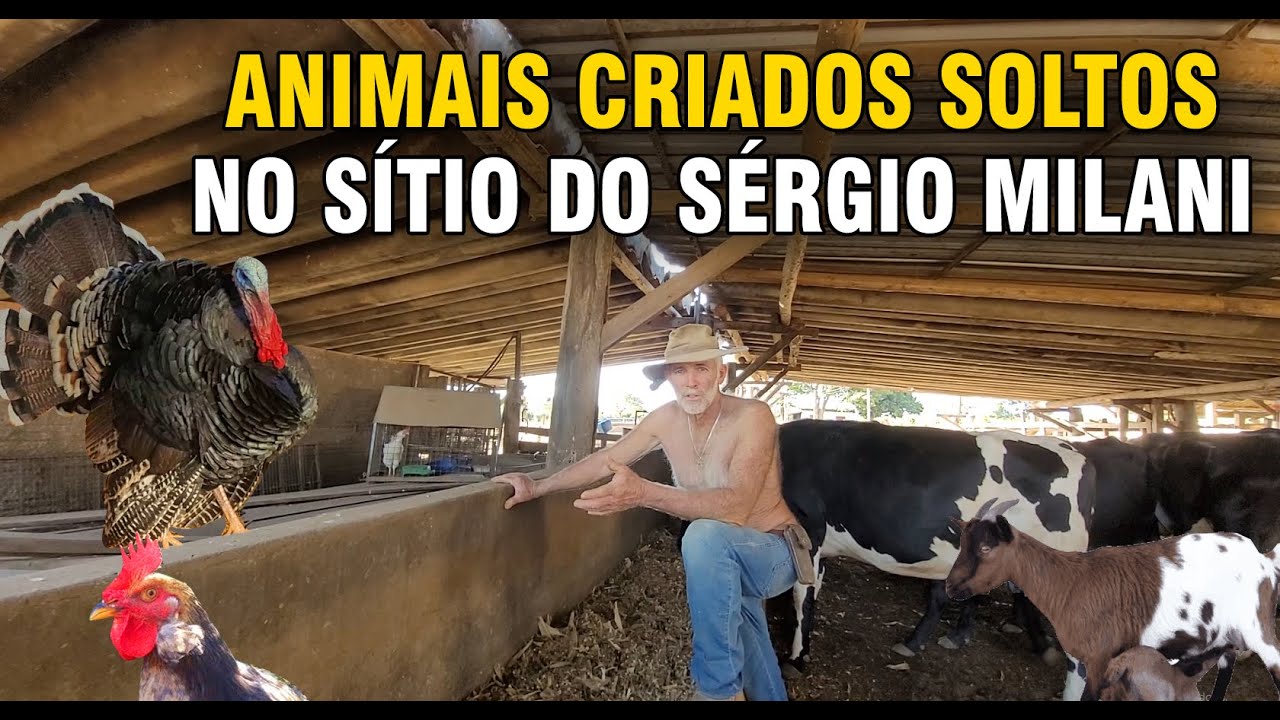 O SÍTIO CHEIO DE ANIMAIS DO SÉRGIO MILANI