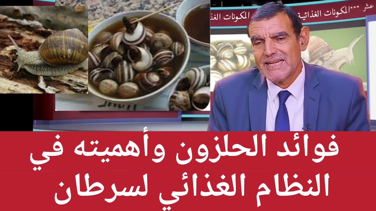 فوائد الحلزون وأهميته في النظام الغذائي للسرطان مع الدكتور محمد الفايد 
