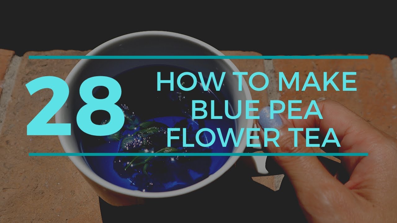 How to make blue pea flower tea 2020