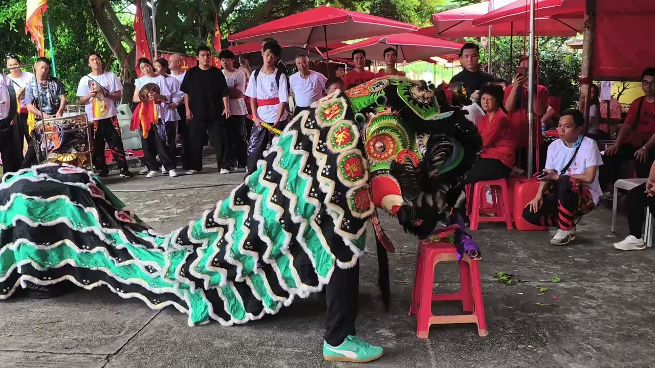 南安彿堂齊天大聖千秋寶誕 Tai Shing (Sun Wukong) Festivalin Nam On Buddhist Monastery