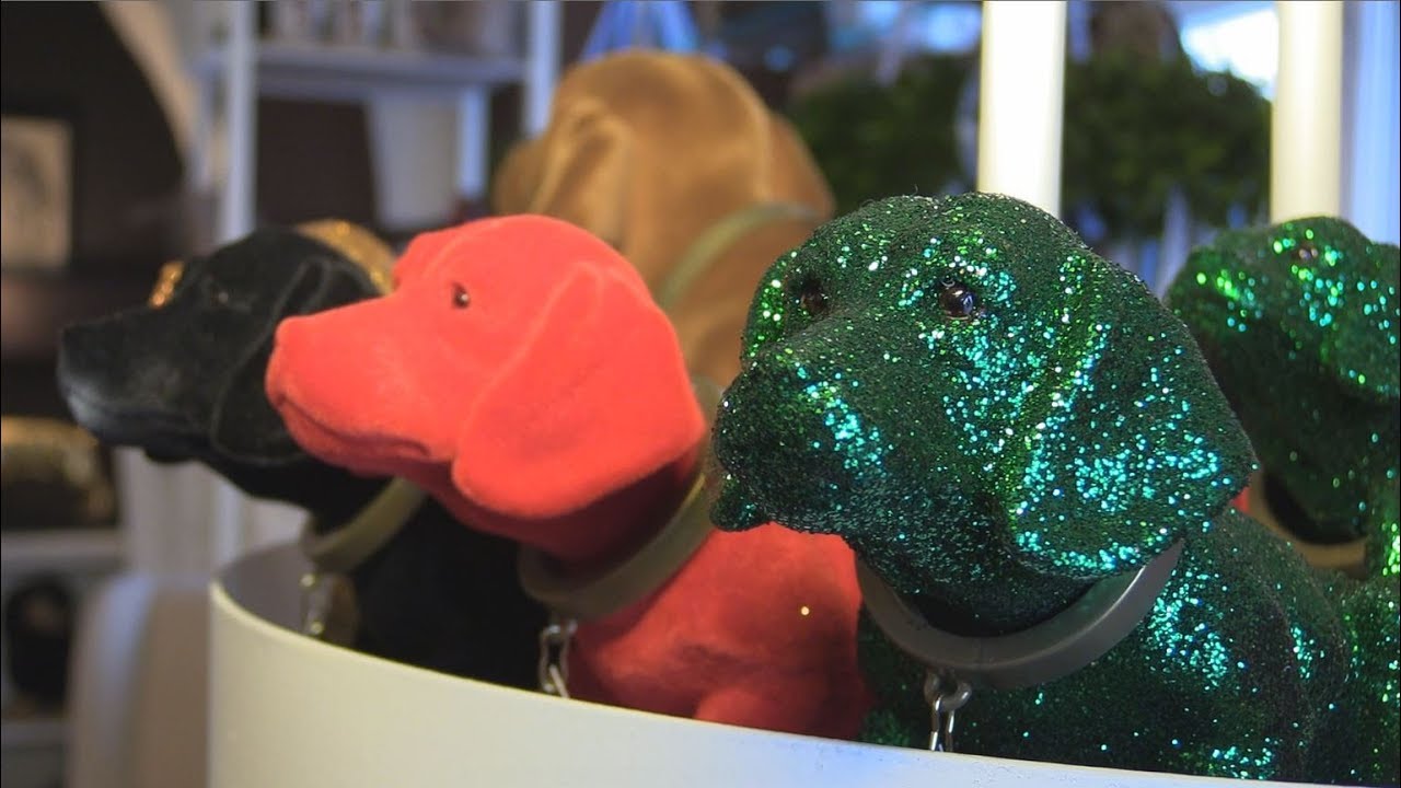 Weltweiter Hype um deutschlandweit erstes Dackelmuseum in Passau