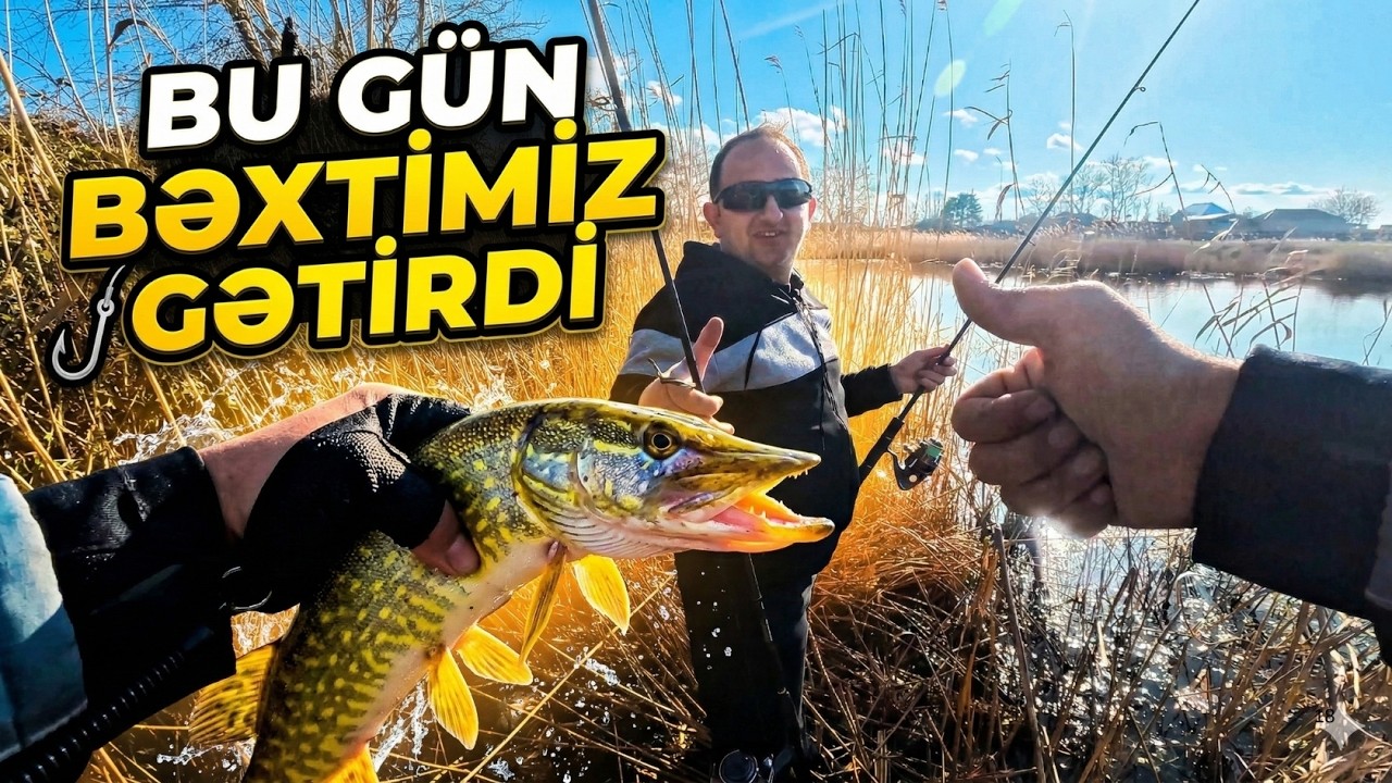 Spin At-Çək ilə Durna Balıq Ovu – Bu Gün Bəxtimiz Gətirdi!