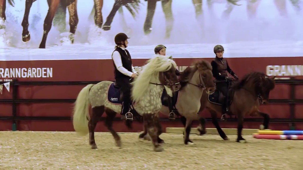 Clinic med Heimir Gunnarsson på Sweden international horse show