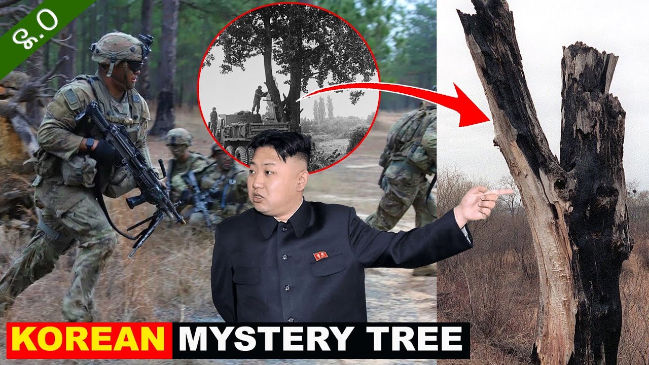 У (Дерево) Кактатпа Ярой !! Северная Корея || БЕЗ АКЦИИ || ДАшил 2.0 4Ever