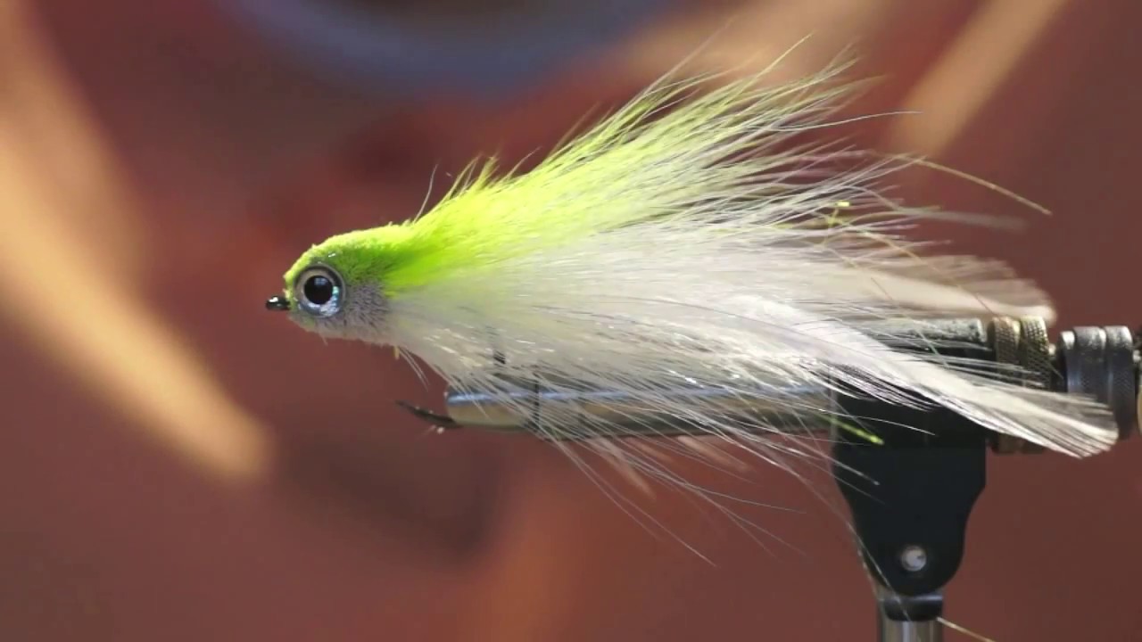 Dahlberg diver 2
