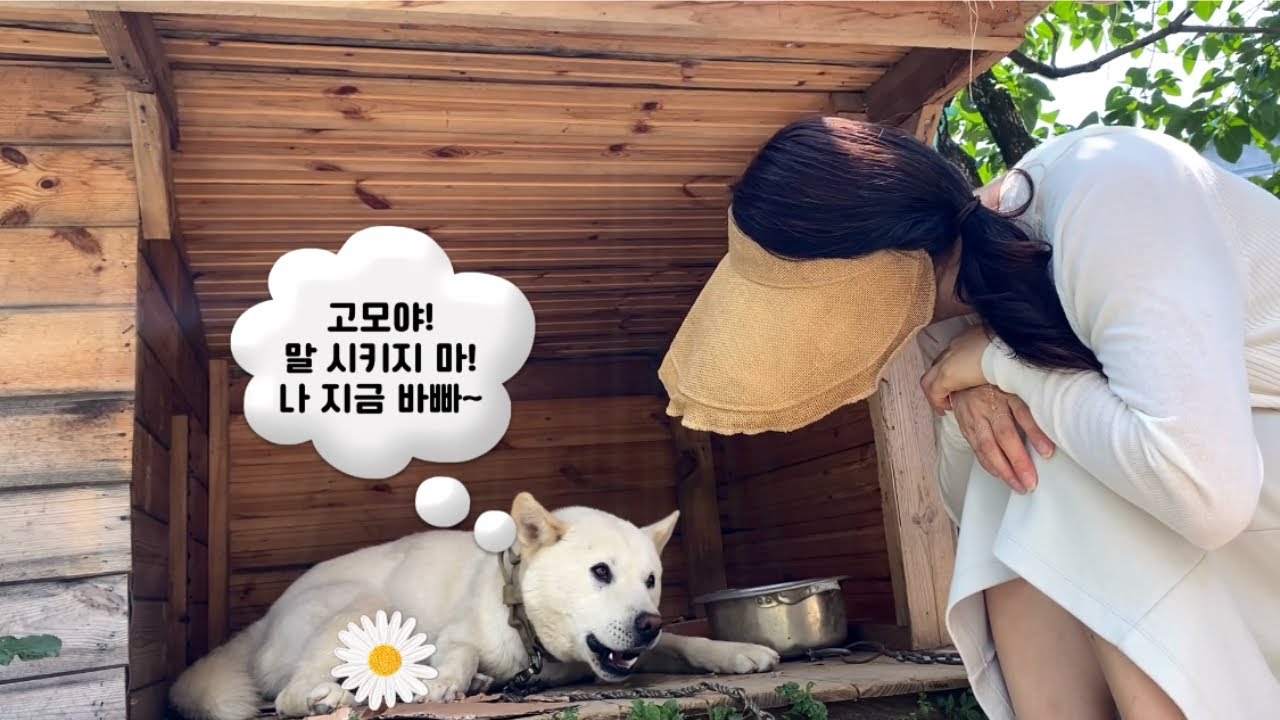 순돌이 족발홀릭 “와~고모야! 대~박!!!