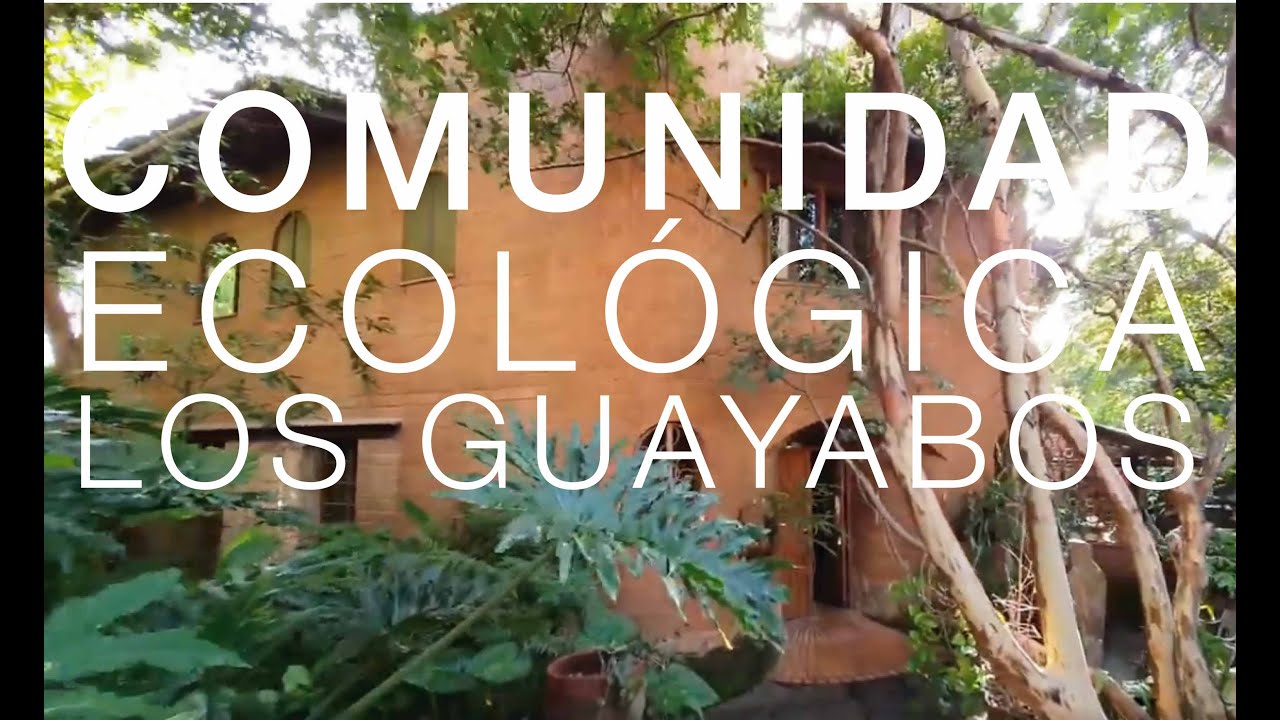 COMUNIDAD ECOLÓGICA LOS GUAYABOS