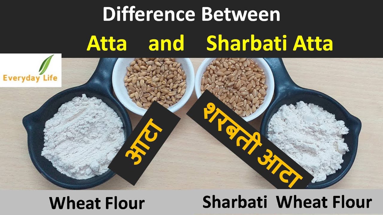 Difference b/w Atta and`Sharbati Atta | आटा और शरबती आटा में अंतर | Wheat Flour | Everyday Life #106